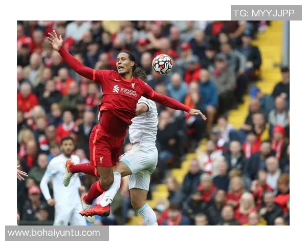 英超球星贴纸大集合 各路传奇球员精彩瞬间齐聚一堂